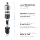CrazyCap 2.0 UV Water Purifier & Self Cleaning Stainless Steel Insulated Water Bottle - Turns Any Water Source Into Clean Drinkable Water - Perfect for Hiking Camping Travel and Survival