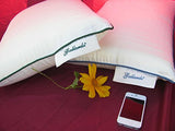 Sleepow Memory Foam Sound Therapy Pillow with MP3 / Sound Machine