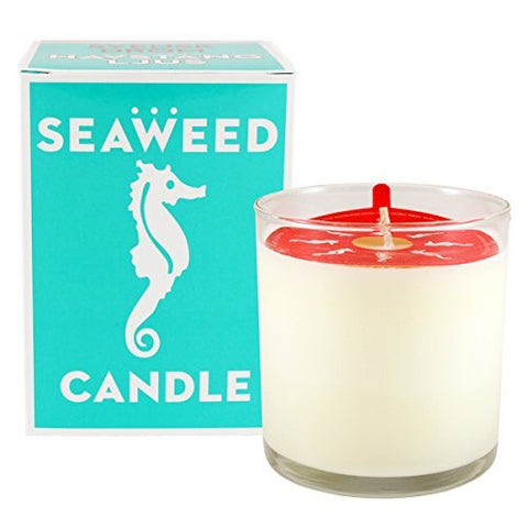 Swedish Dream Seaweed Candle